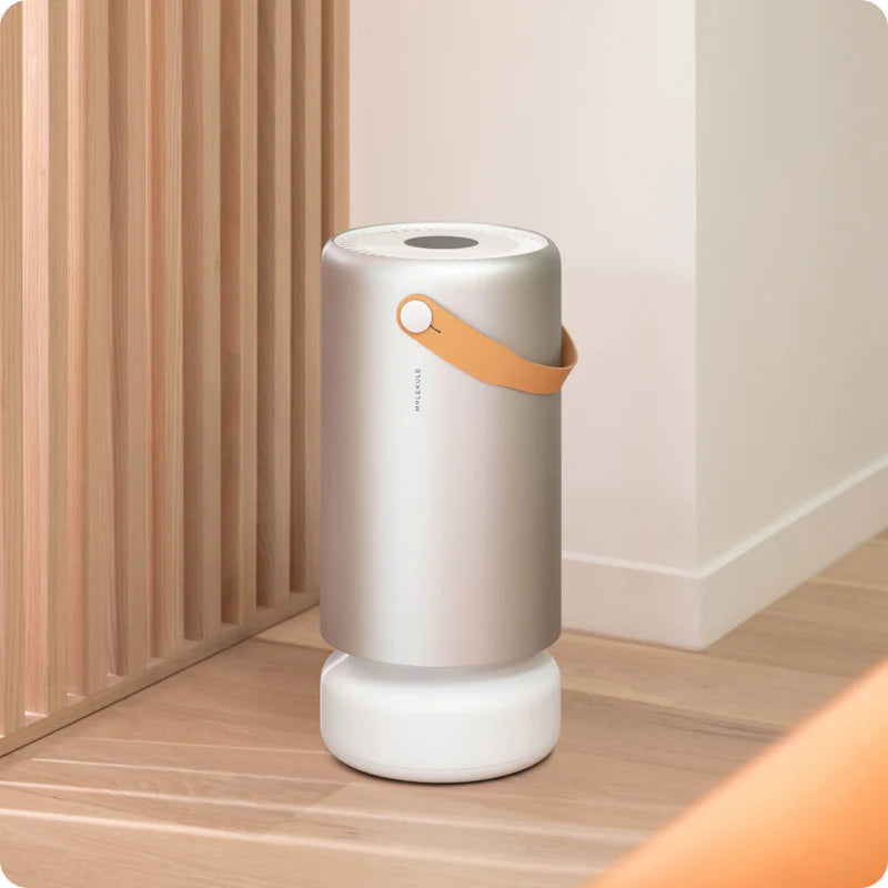 Aerus Beyond Guardian G4 Whole Home Filtration System